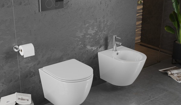 Kādu WC rāmi izvēlēties?