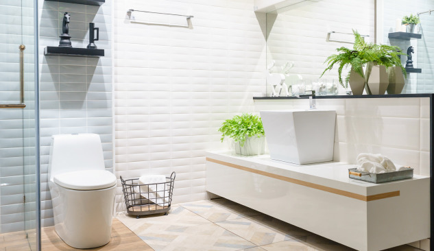 Tualetes pods - labāk derēs brīvi stāvošs vai piekārts?