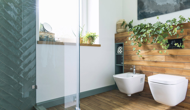 Bidē vannas istabai - kas būtu jāzina?