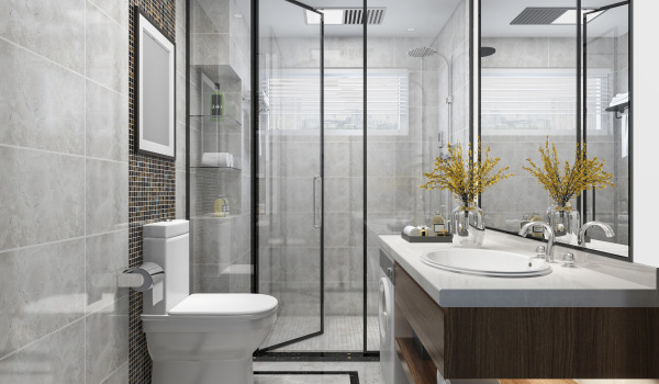 Kādu dušas sienu izvēlēties?