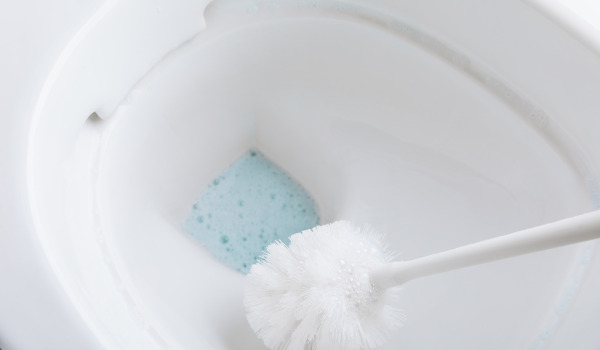 Kā rūpēties par tualetes birsti?