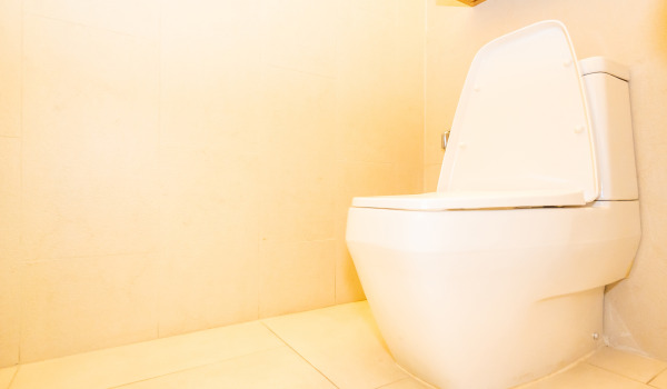 Kādu iebūvēto tualetes komplektu izvēlēties?