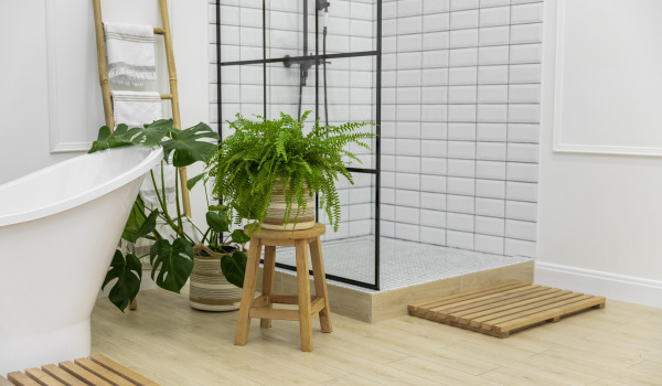 5 labākie ziedi audzēšanai vannasistabā