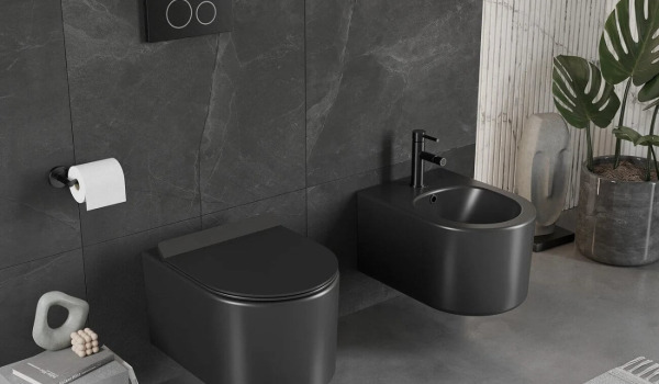 Rokasgrāmata par WC kompaktu: kā izvēlēties labāko modeli savām mājām?